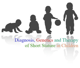 Diagnosis, Genetics, and Therapy of Short Stature in Children: A Growth Hormone Research Society International Perspective