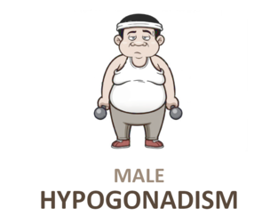 European Academy of Andrology (EAA) guidelines on investigation, treatment and monitoring of functional hypogonadism in males