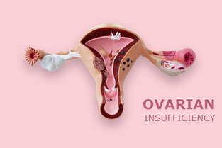 Premature ovarian insufficiency: an International Menopause Society White Paper